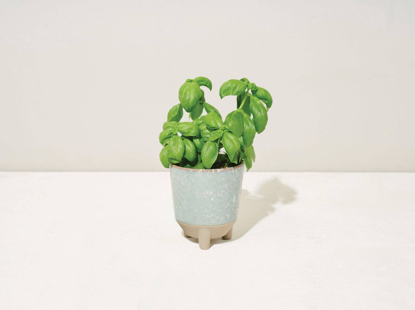 Glow & Grow Candle Basil Herb Garden Grow Kit