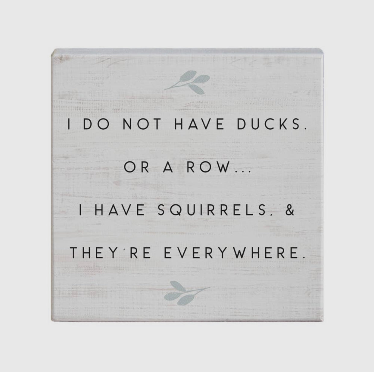 Sincere Surroundings "I Don’t Have Ducks or Rows, I Have Squirrels Everywhere"