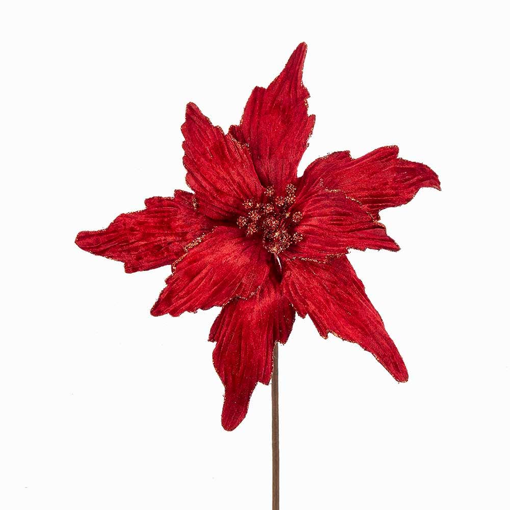 RED POINSETTIA
