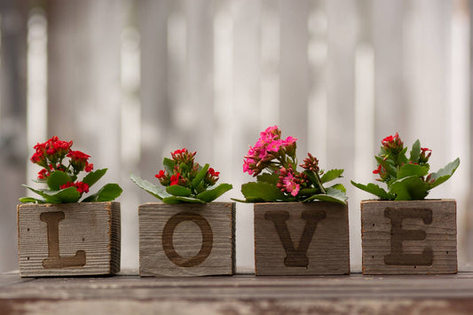 Rustic Wood Small 4 Cube Planter Set / LOVE branded