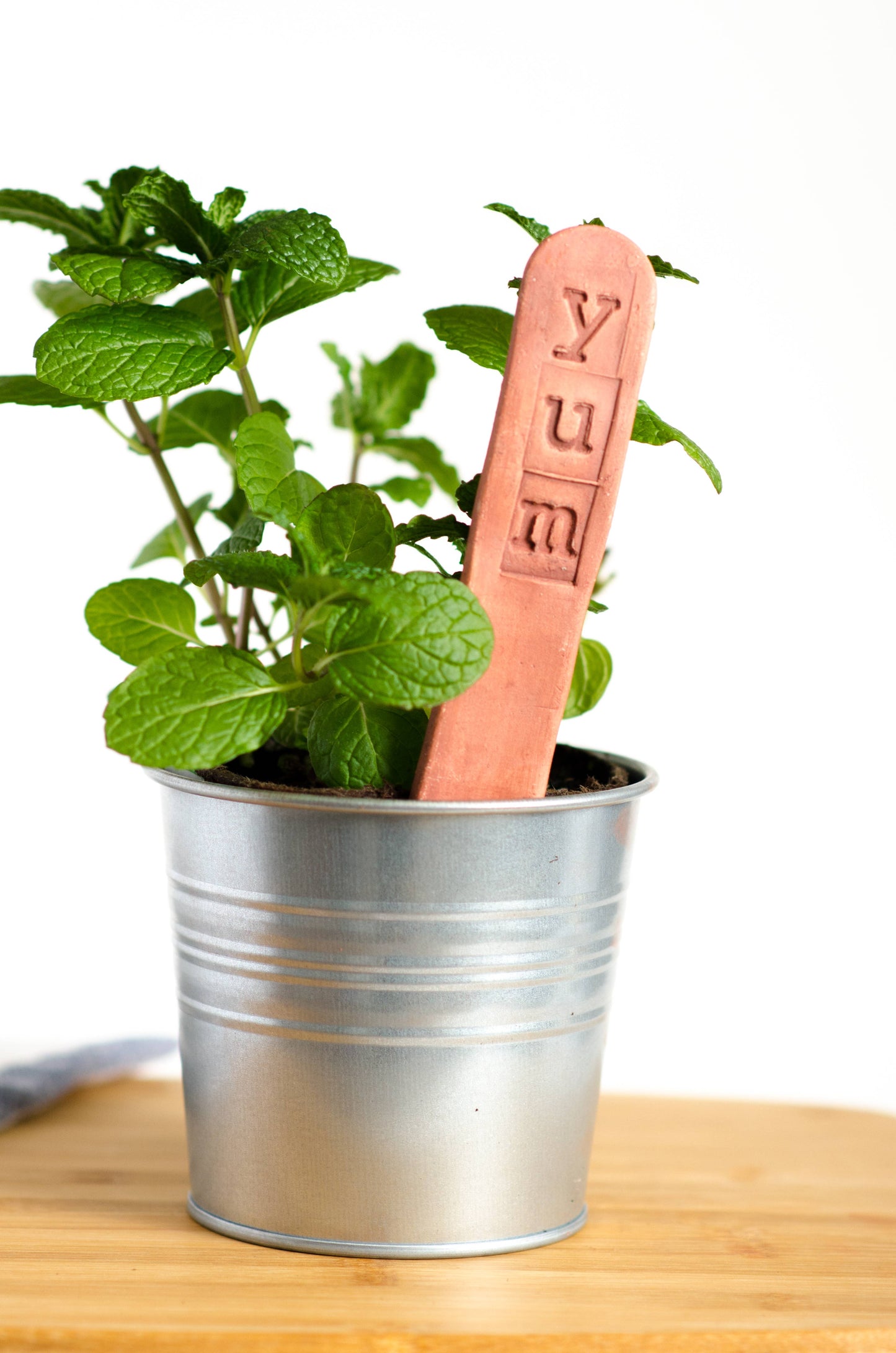Garden Markers