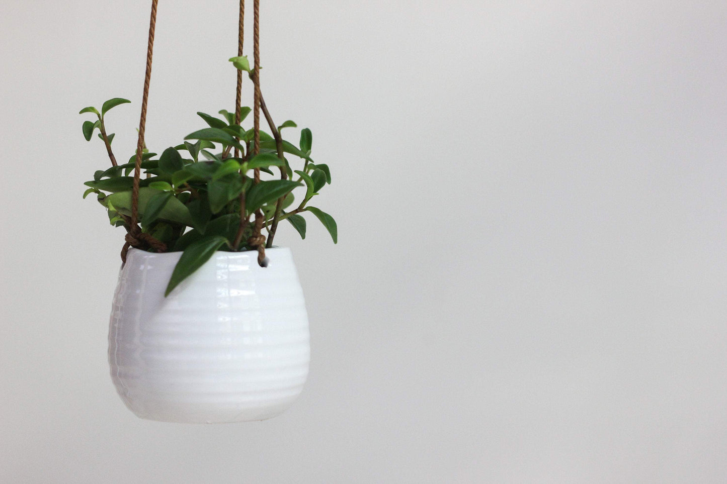 Ribbed Glossy White Ceramic Hanging Planter Pot
