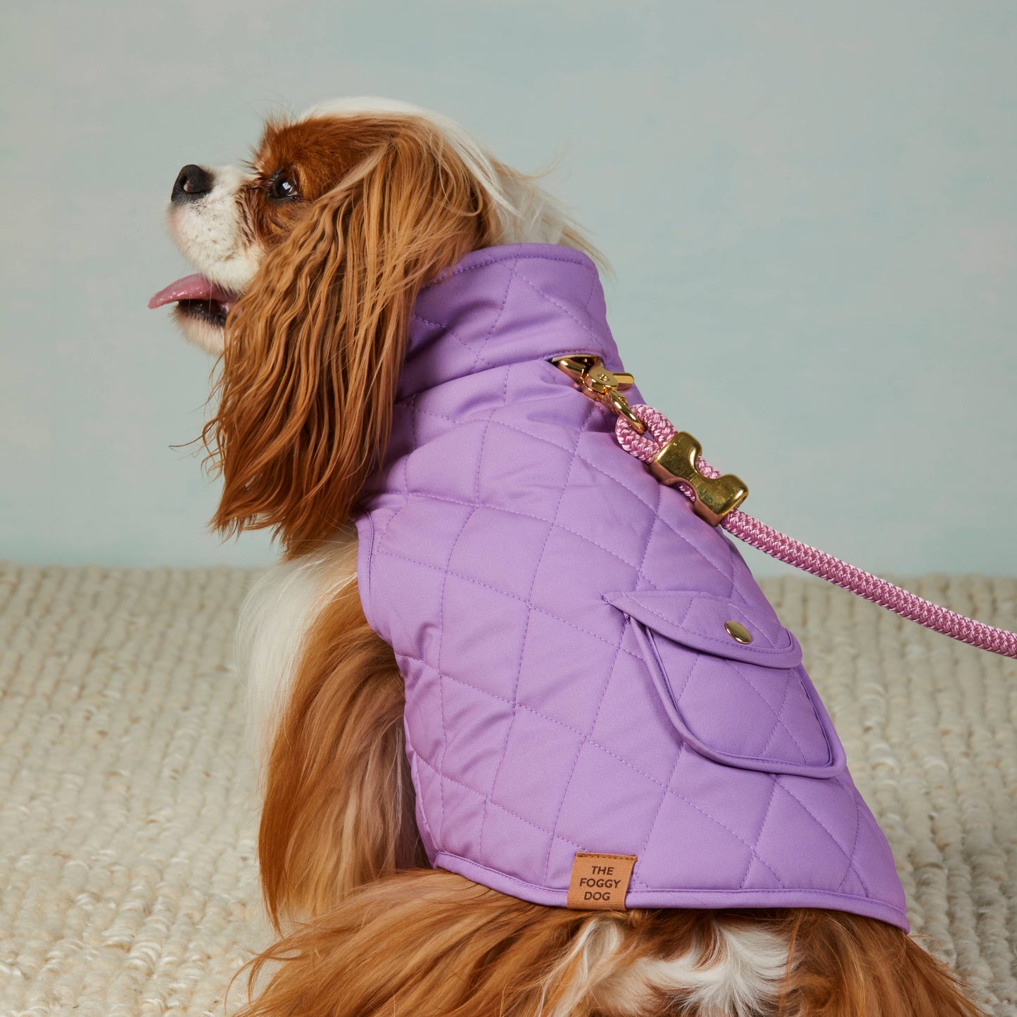 Mini Meadow Reversible Dog Jacket: X-Small