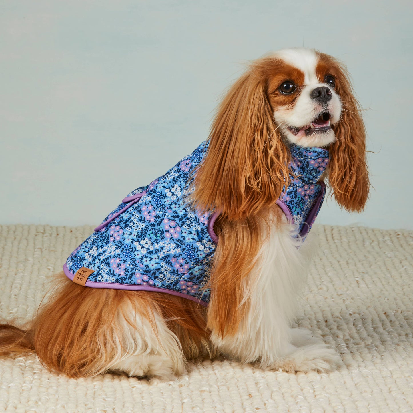 Mini Meadow Reversible Dog Jacket: X-Small