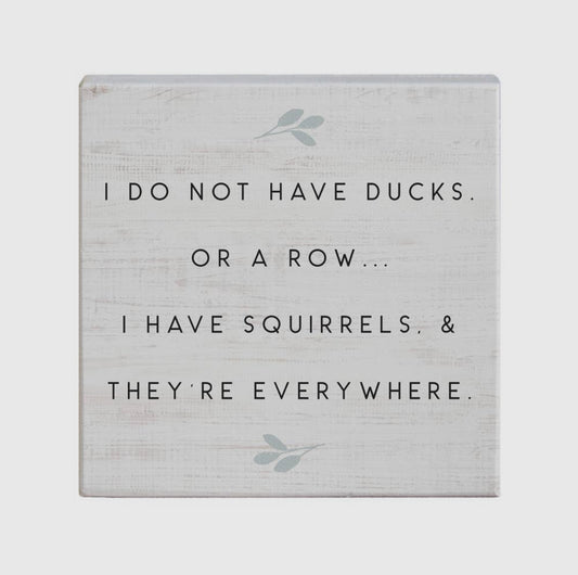 Sincere Surroundings "I Don’t Have Ducks or Rows, I Have Squirrels Everywhere"