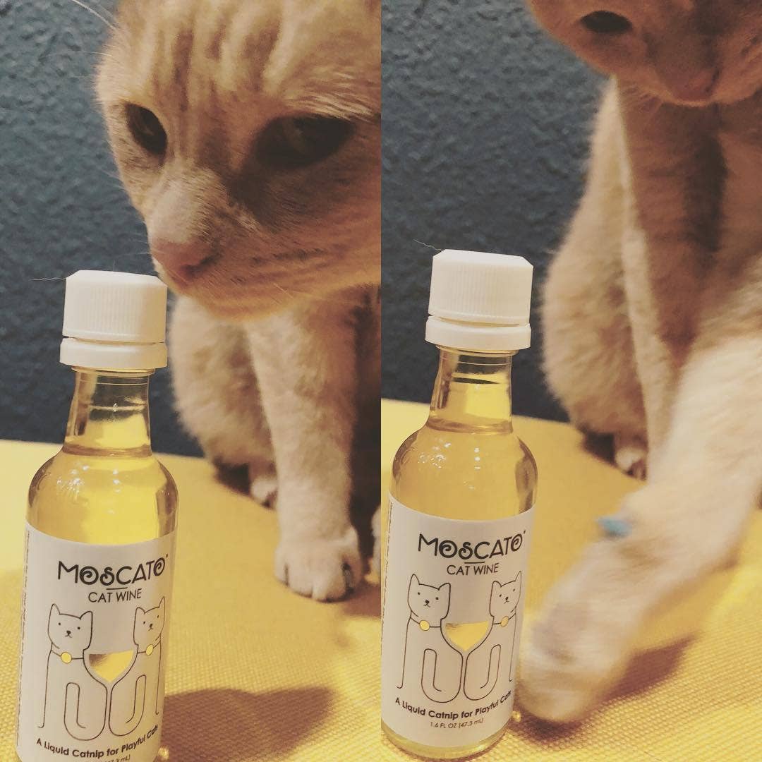 MosCATo Cat Wine Liquid Catnip For Cats