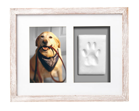 Pawprints Wall Frame and Paw Impression Kit