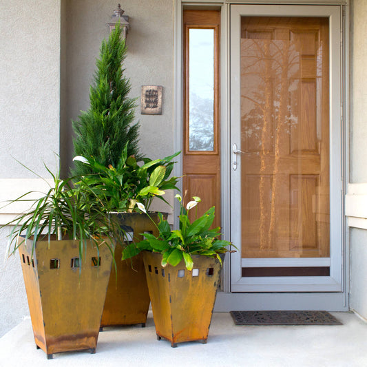 Planter, Medium