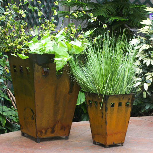 Planter Small