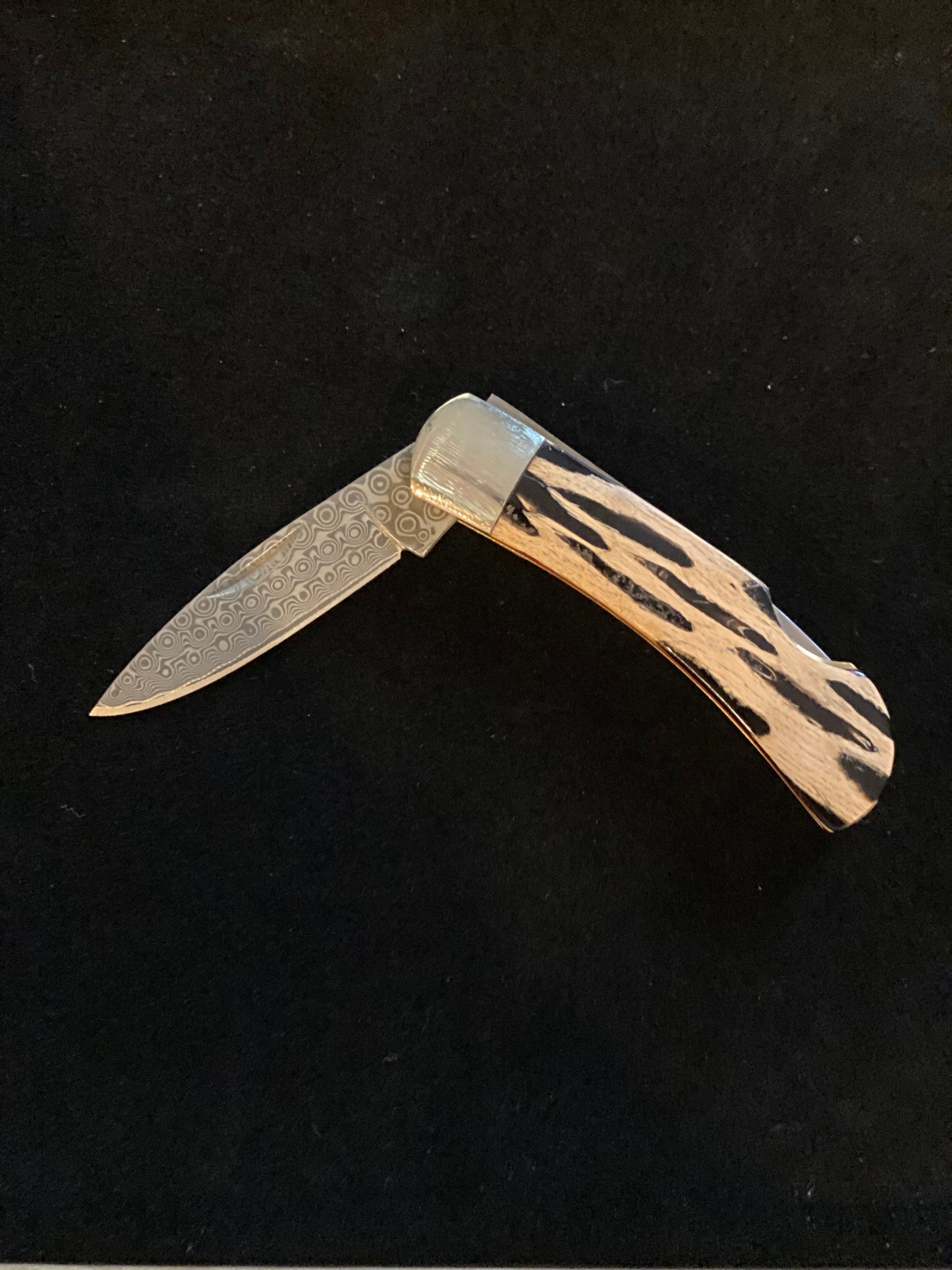 Cholla Wood Lockback 3" Pocket Knife with Damascus Steel Blade